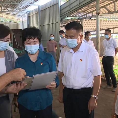 海南保亭什么气候