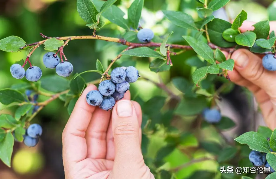 做seo有什么项目 seo项目适合什么框架