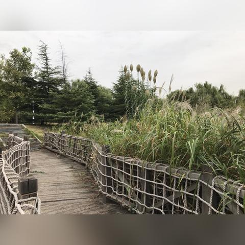 济南花卉市场图片相关长尾关键词有哪些