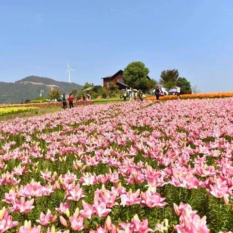 合肥市婚纱摄影哪里好