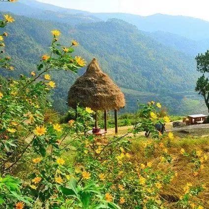 福建卖茶工作怎么样