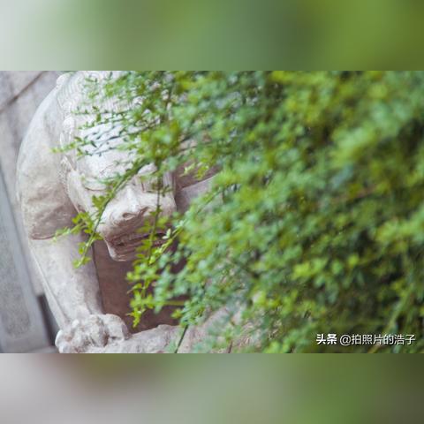 济南 暴走相关长尾关键词有哪些
