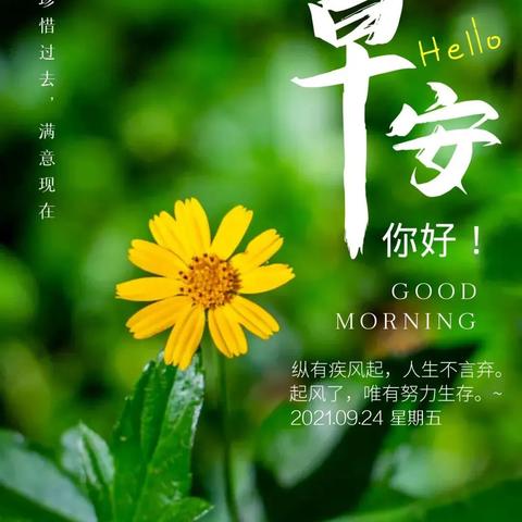 3月24日生肖运势排名(2021年3月24日运势)