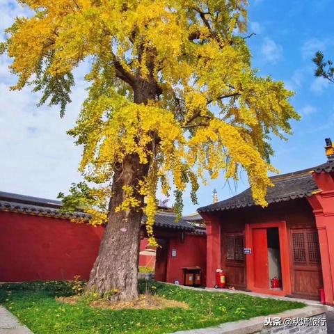 2025.11.21常熟今日气温变化情况