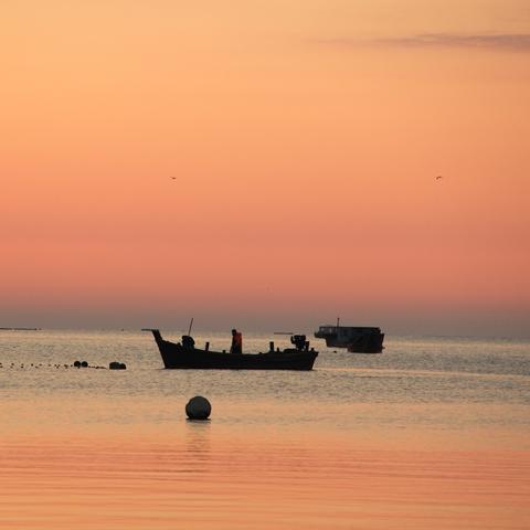 大连市朝阳的哪个方向