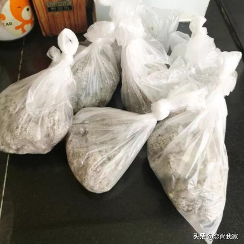 黑豆渣可以做什么的长尾关键词有哪些