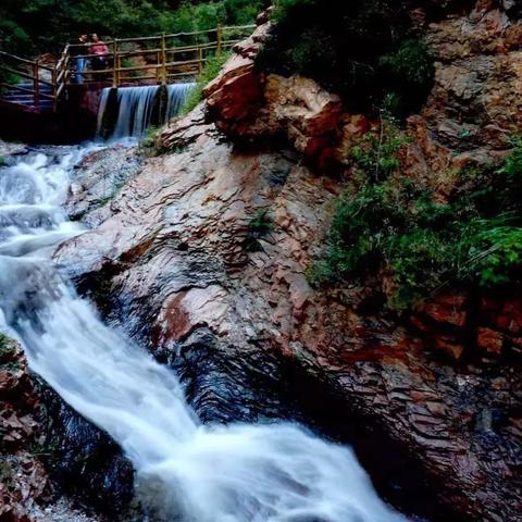 河南电子学生证哪个好