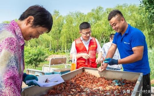 2021农村5万扶贫贷款，无息无担保无抵押，谁能申请？还不上咋办