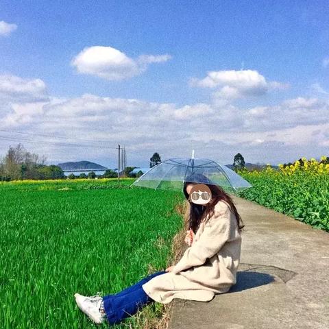成都市看花哪里