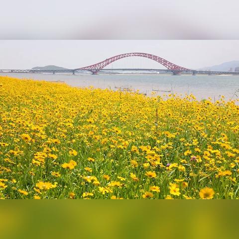 宁波市有什么鱼种植场吗