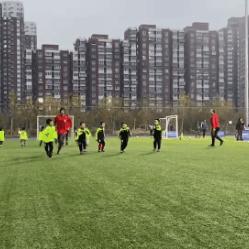 足球的英文怎么写的