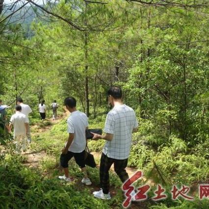 福建农信社助学贷款4年怎么还款？
