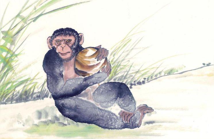 两岸猿声啼不住的猿指的是哪种动物两岸猿声啼不住里的猿有什么作用