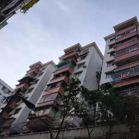 如何成立业主大会筹备组，需确认成员构成？