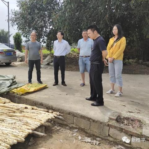 天气预报桂平金田的长尾关键词有什么