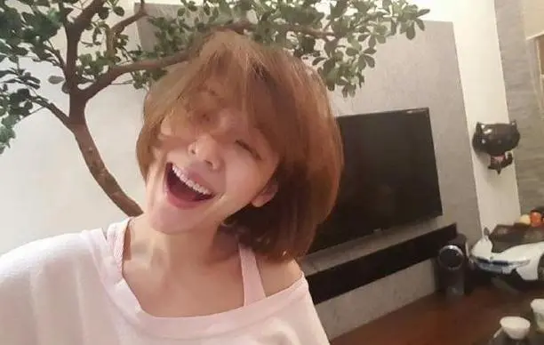 如何快速查询网站收录情况 如何查询网站收录情况