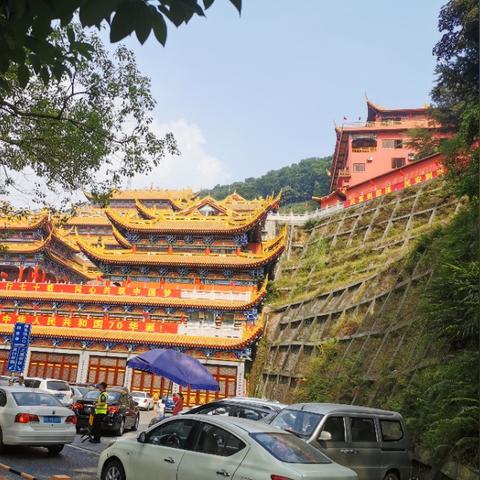 东莞市森林酒店在哪里啊