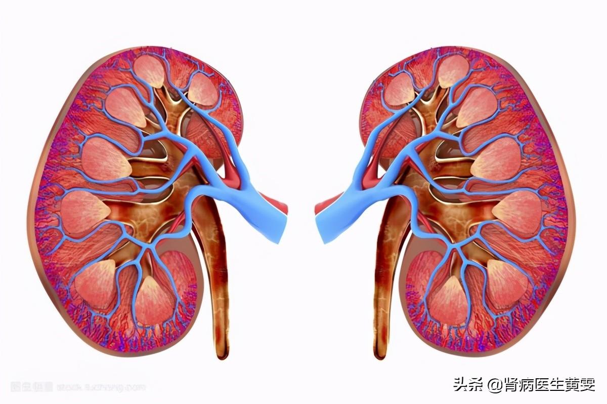 中西医结合肾病杂志引用文献格式医学核心期刊有哪些
