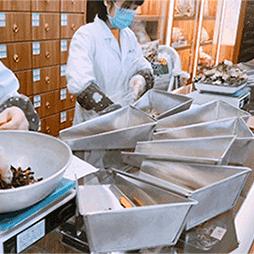 厦门市中医院主治什么科
