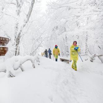 拉尼娜是指什么东西