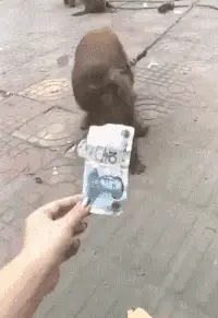 花椒直播能赚钱吗 花椒直播怎样赚钱