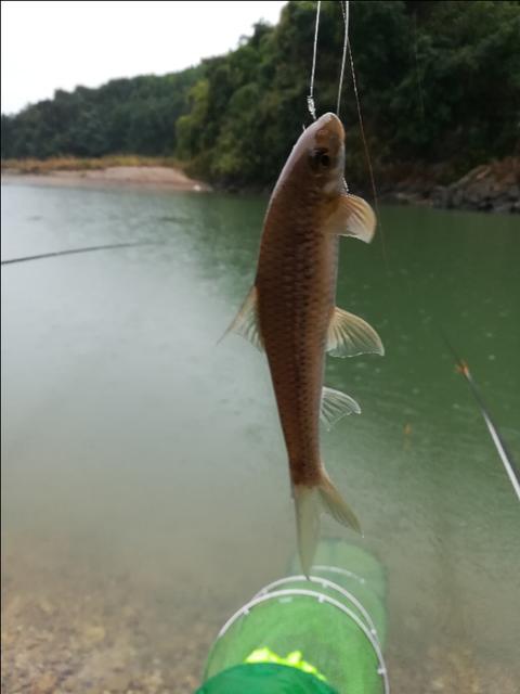 今年冬天天天下雨是什么原因