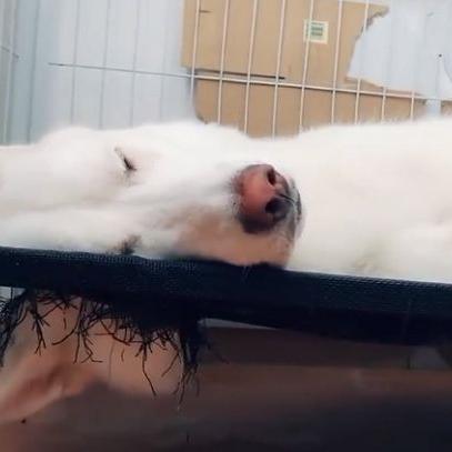 广东佛山市实不高架儿童床的长尾关键词有什么