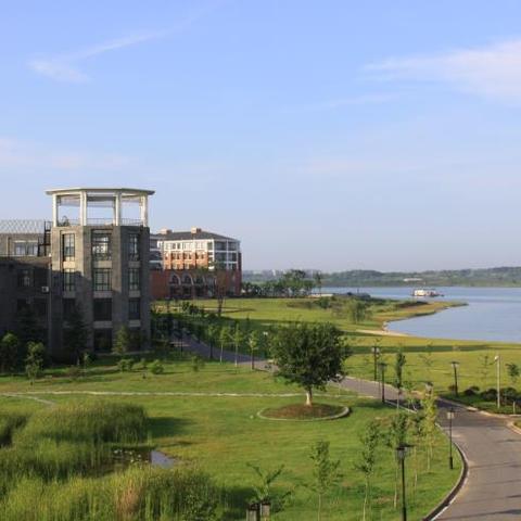 武汉985选聘生有前途吗？