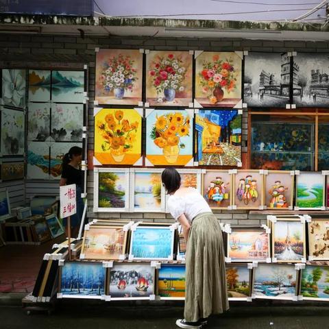 深圳适合种什么花？