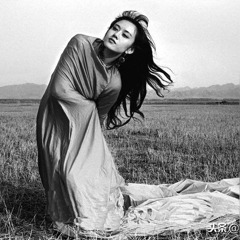 杨丽萍舞蹈视频.孔雀舞杨丽萍舞蹈视频？