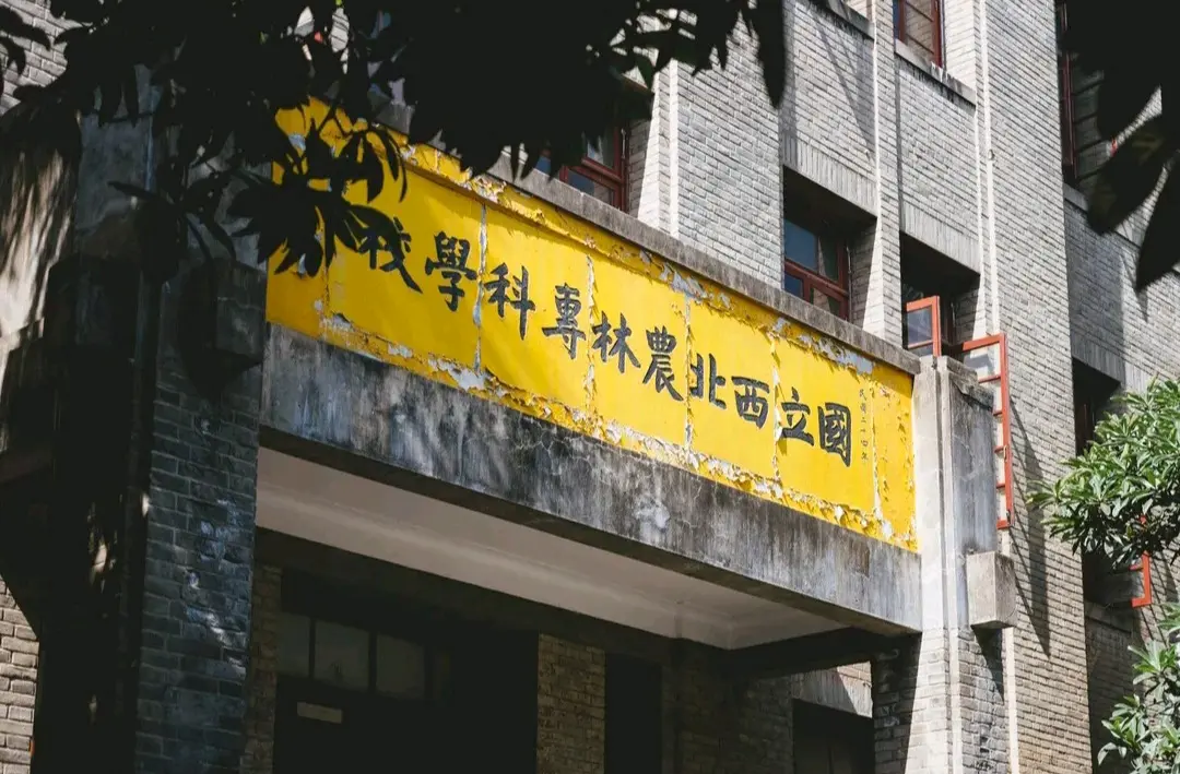 lazada新店铺怎么参加活动 怎样参加lazada的活动