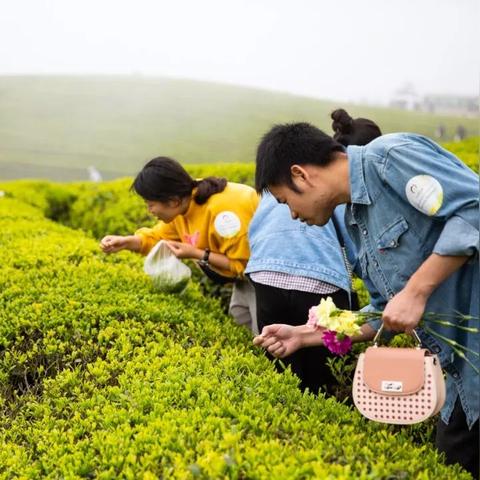 宁波美食节活动策划的相关长尾关键词有哪些