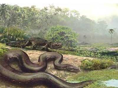 泰坦蟒vs巨型短面熊,谁强谁弱?结果会如何?(精选7条)-趣闻号