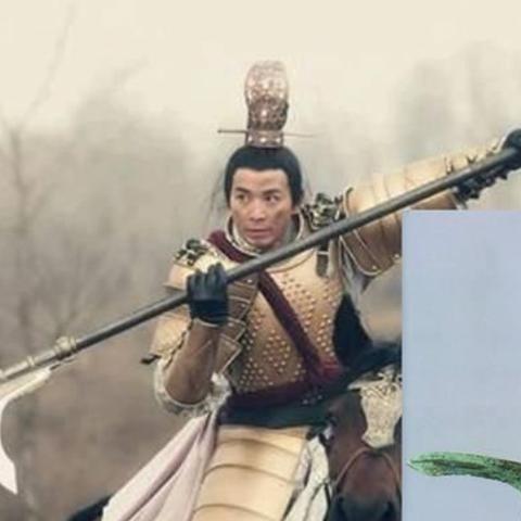 河南有害生物防治的相关长尾关键词有哪些