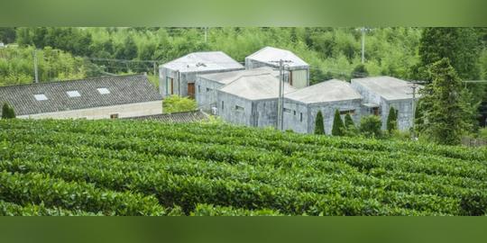 这个被低估的冷门赏秋地，私藏绝美红枫林，60亩萌宠田园营地