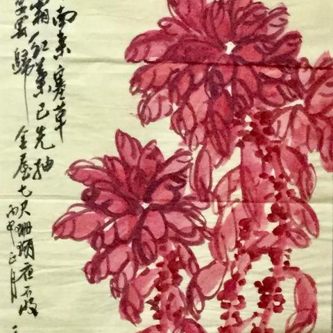 合肥花鸟市场晚上相关长尾关键词有哪些