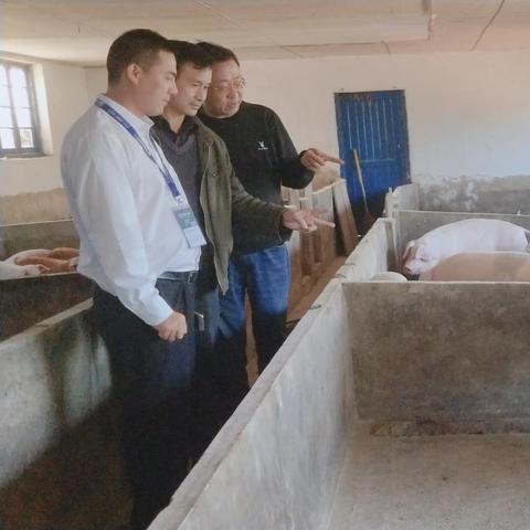 长沙市绿巨能相关长尾关键词有哪些