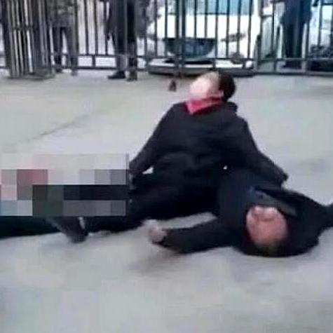 福建哪个上网快