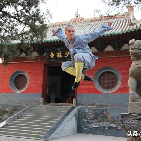 少林传人：武学巅峰的修行之路