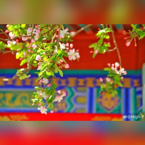 天津哪个公园爬山