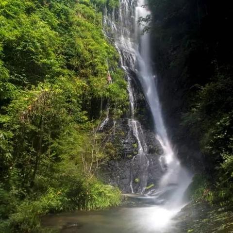 长沙市金屏村是哪个镇的