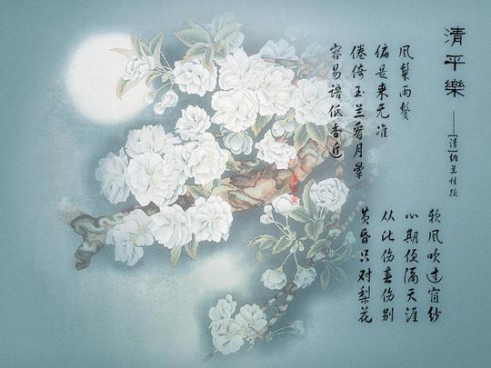 人生若只如初见，绝美诗词背后的纳兰容若