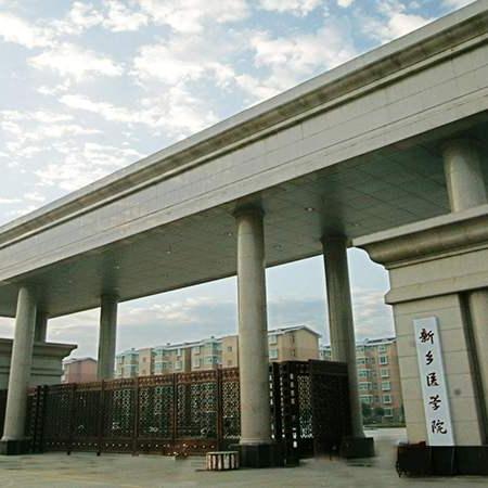 河南省分数什么时候出来