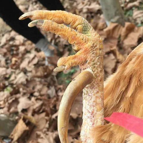 临沂市体育中心大火的长尾关键词有什么