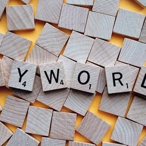 seo适合什么工作