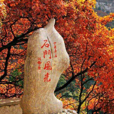 潍坊市印象图片的长尾关键词有什么