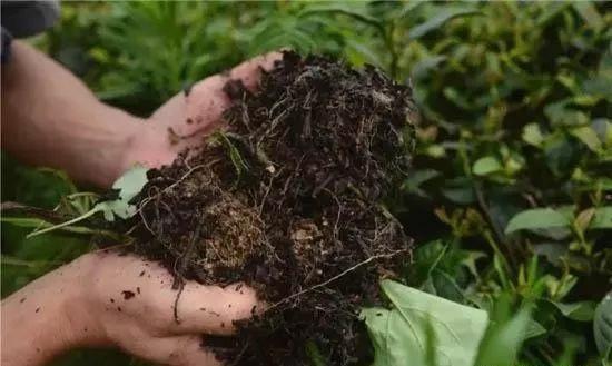 [微生物菌肥品牌排行榜：品质与效果的全面考量]