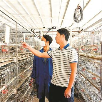 南宁民族广场鸽子过年几点放出来？