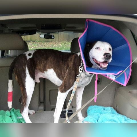 双层纱布可以做什么的长尾关键词是什么