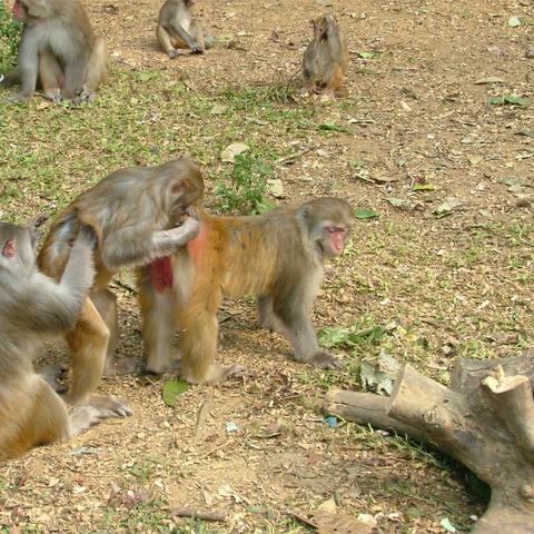 美女大明星(美女大明星滴诱惑交配视频)